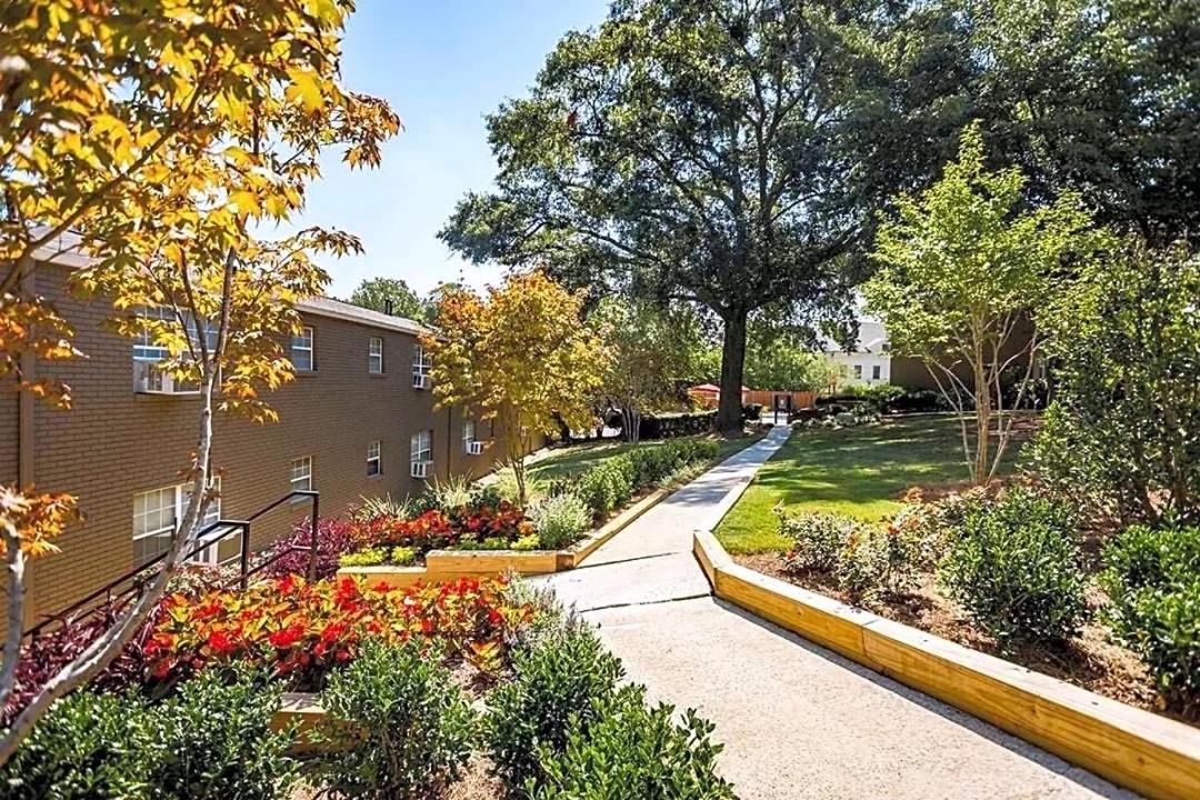 Moonlight Suite King Bd Free Parking Fast Wi-Fi Kitchen Pool Atlanta Exterior photo